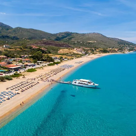 Selena カテリオス